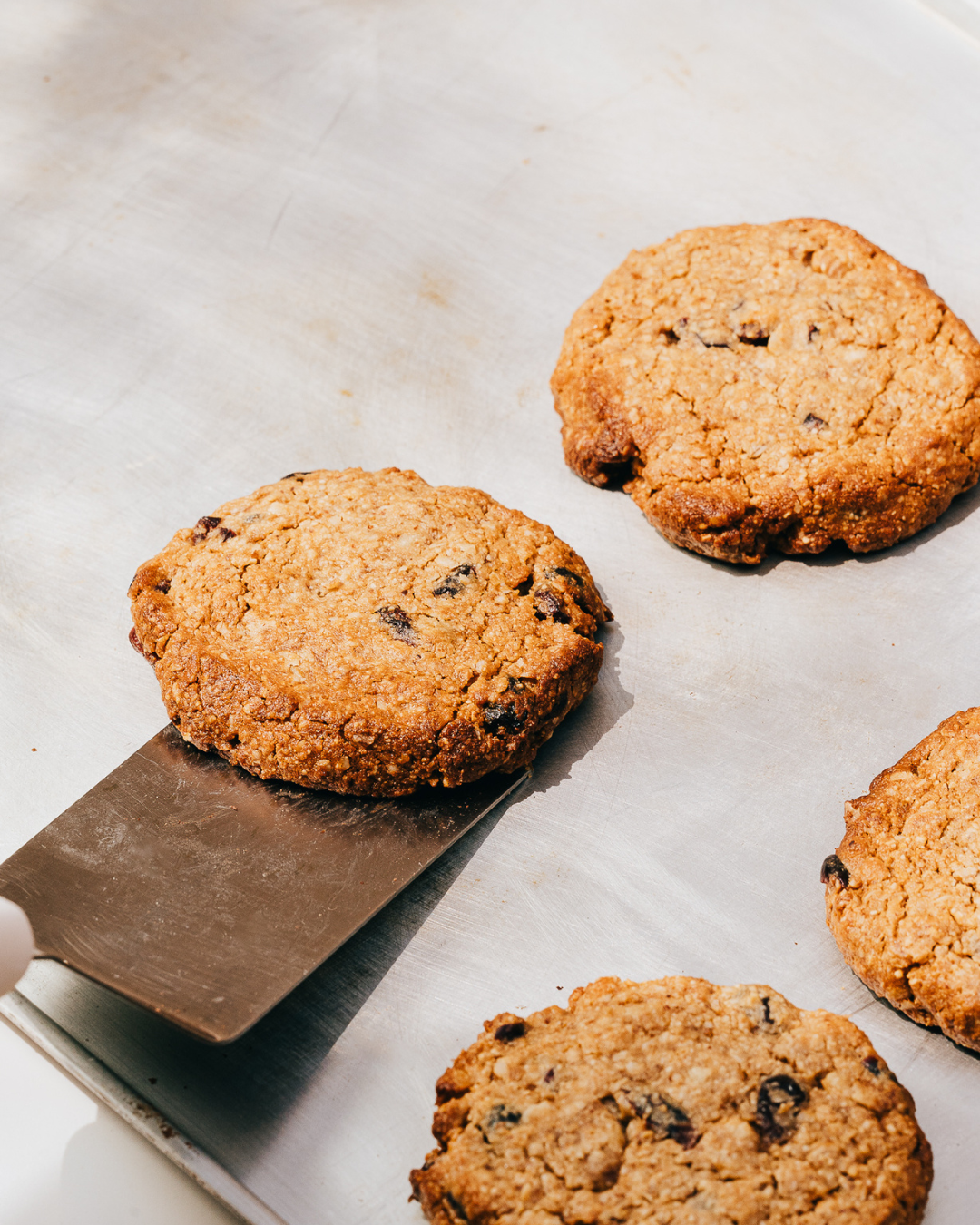 Galleta Avena Cranberry Sin Trigo